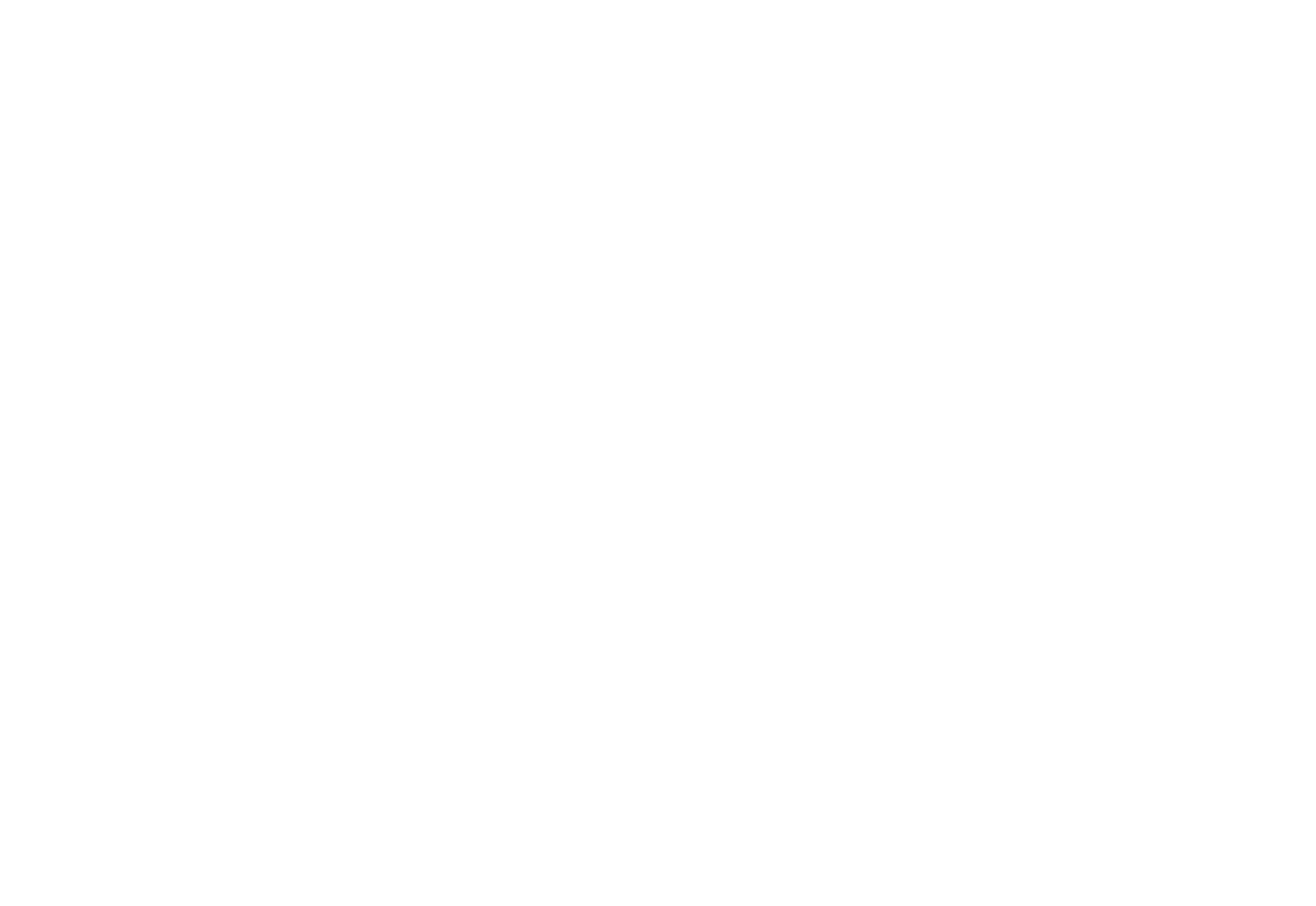 SP Logo wDE_OperatingGroup_White